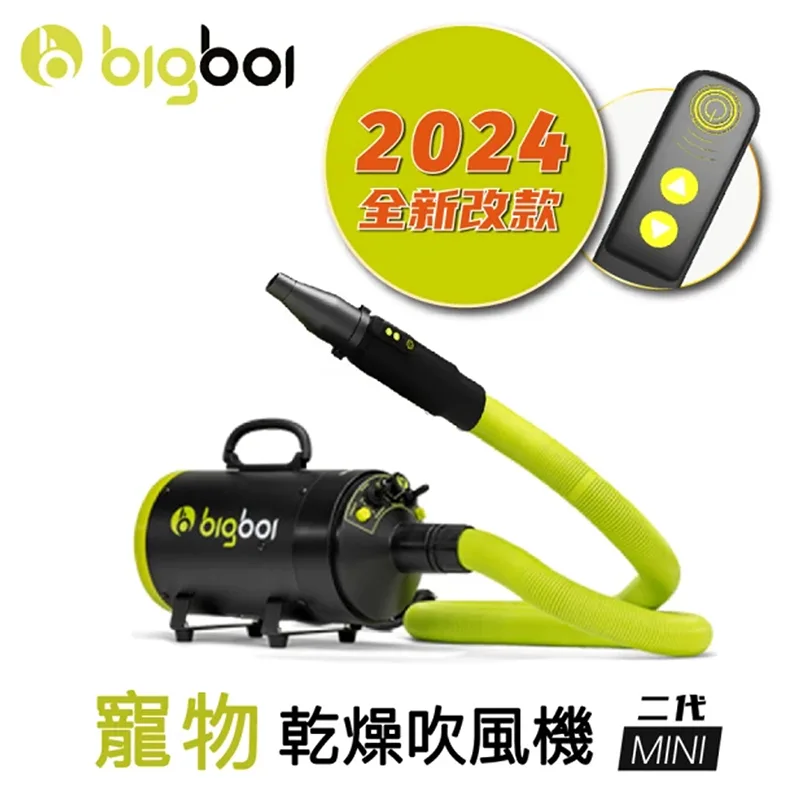 【澳洲bigboi】MINI 單馬達冷熱吹風機