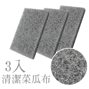 德國Nanotol 灰色清潔菜瓜布3入