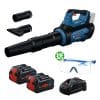 BOSCH博世 18V鋰電吹葉機/鼓風機(8.0Ah電池*2+8A快充組) GBL18V-800 再送3M安全護目鏡